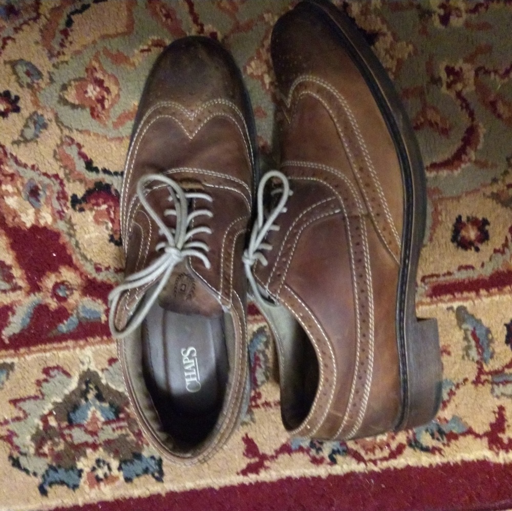 Luxurious Men's Leather Two Tone Shoe by Chaps